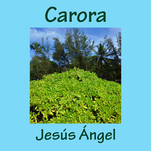 Carora