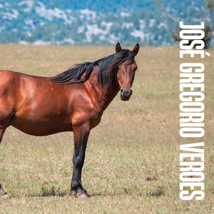 Una Niñez Frustrada