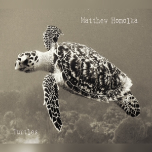 Turtles