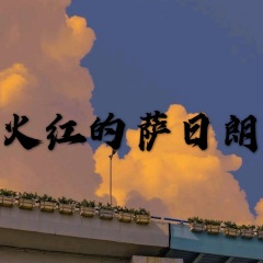 该不该难过 (电音版)