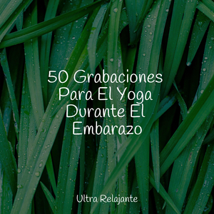 Solo en Las Nebulosas