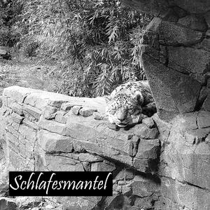 Schlafesmantel