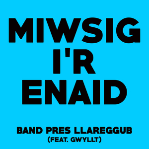 Miwsig i'r Enaid