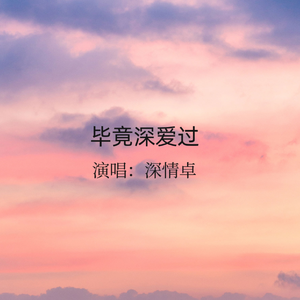 《毕竟深爱过》