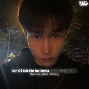 Anh Có Đôi Bàn Tay (Remix)