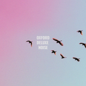 Laboratory Pink Noise