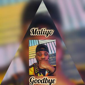 Goodbye