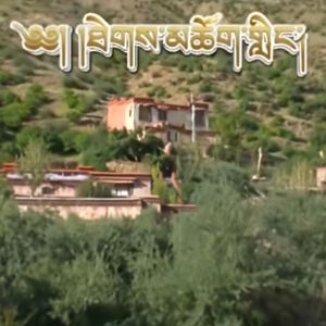 《德教林》片多