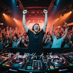 世界那么大还是遇见你-DJ (Cover 程响)