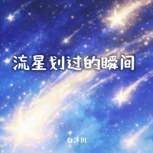 流星划过的瞬间