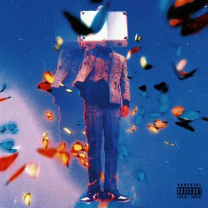 王子病 （prince illness ）