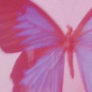 迪丽热巴（sexy）