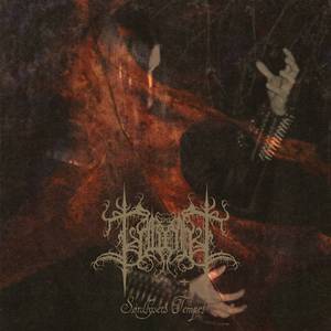 Gjemte til Tåkesheim