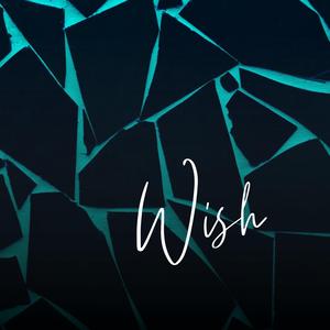 Wish (feat. The Groovist)