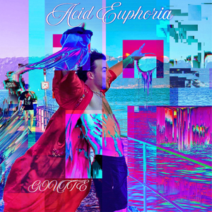Acid Euphoria