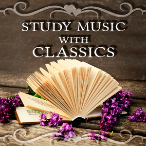 Sonata for Violin and Piano No. 1 in A Minor, Op. 105: I. Mit liedenschaftlichem ausdruck