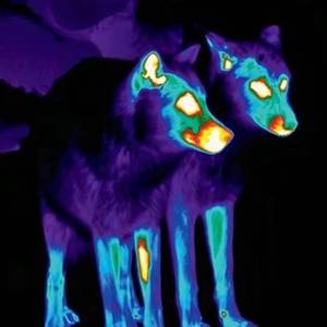 活在未来 (prod.by Ricky)