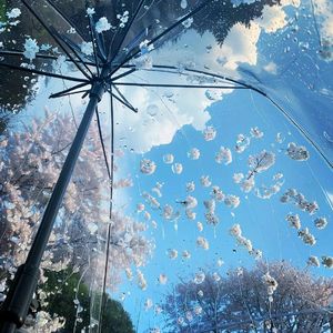 心之方寸（cover:《七时吉祥》情劫曲）