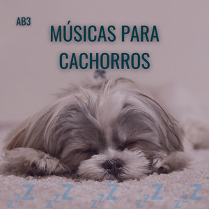 Música para Cachorro