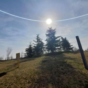 Waiting For You（翻自 张德帅Sway）