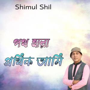 পথ হারা প্রথিক আমি