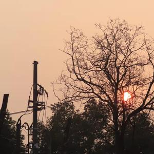 爱你不是两三天