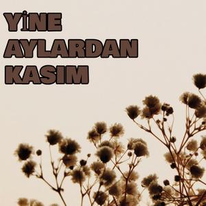 Yine Aylardan Kasım