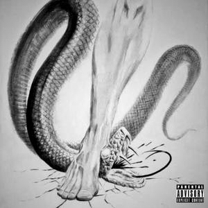 The Snakes (Watch Out) (feat. Panamaniakz)