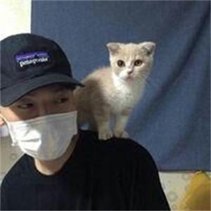 是那山里的绿地