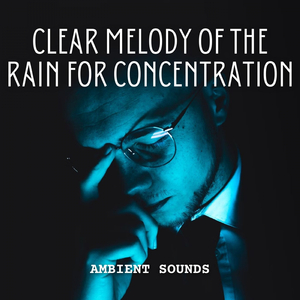 Tranquil Rain Ambience