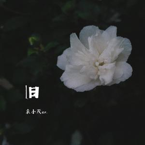 大天蓬（温柔版）