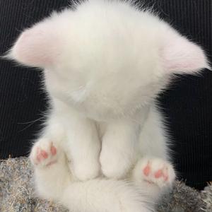 落泪+ 室内系的TrackMaker.aac