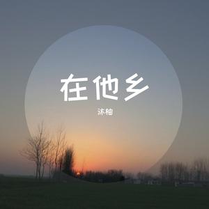 在他乡（抖音女声版）