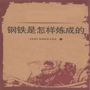 钢铁是怎样炼成的(Prod by.YXT)