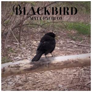 Blackbird (Cover)