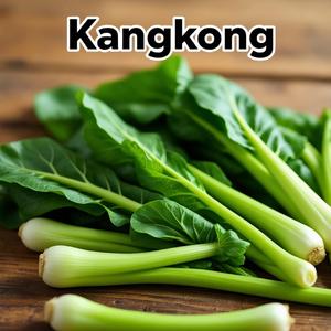 Kangkong 1.0