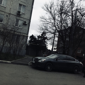 Скотомогильник