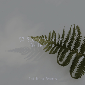 Silent Seraph's Song