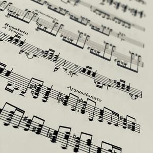 Sonata No 2 (feat. Sanel Redzic)