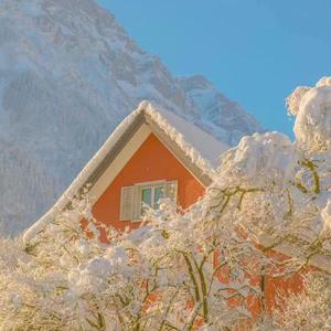 荷塘月色一漫天