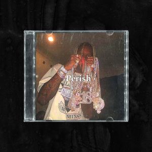 [FREE] 暴力孟菲斯 “Perish” Lil durk x APMZART Type Beat