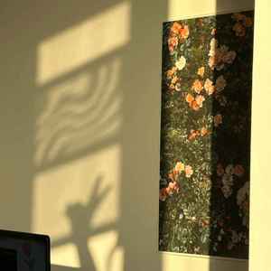 小公主 (抒情版)