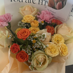 智者不入爱河（翻自 coco这个李文）