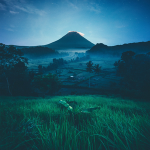 森林氧吧 (冥想音乐大自然)