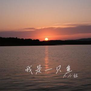 我是一只鱼 (Cover 赵乃吉)