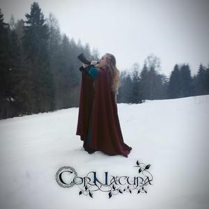 Pradawny las