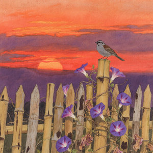 夕阳染亮手风琴键