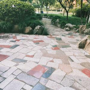 F大调第一小提琴奏鸣曲F004（by方鑫晨）