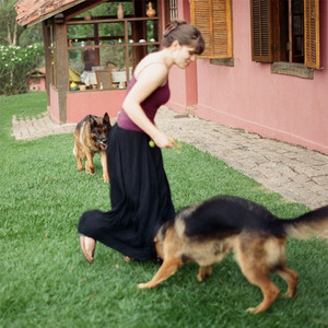 Dog (everybody learns)