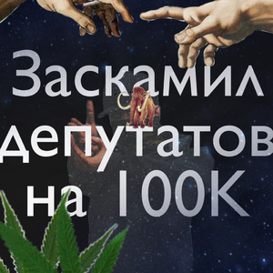 Скам депутатов на 100k